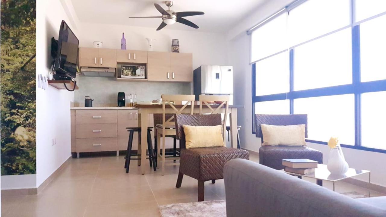 Nice And Centric Apartment Playa del Carmen Dış mekan fotoğraf